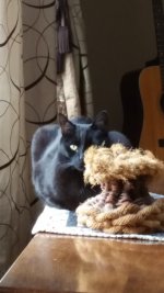 20180316_113307_001.jpg