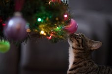 IMG_3015.JPG
