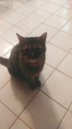 20190327_180410.jpg 20190327_180410.jpg