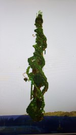 20201029_184236.jpg